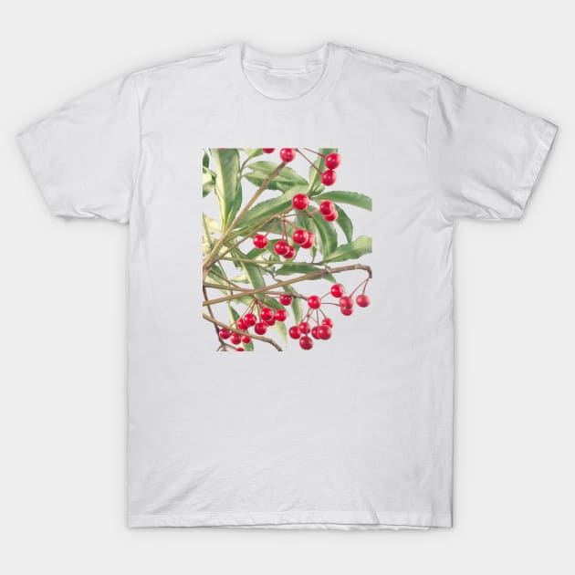 Christmas Berry Scarlet Ardisia Houseplant Vector T-Shirt by taiche